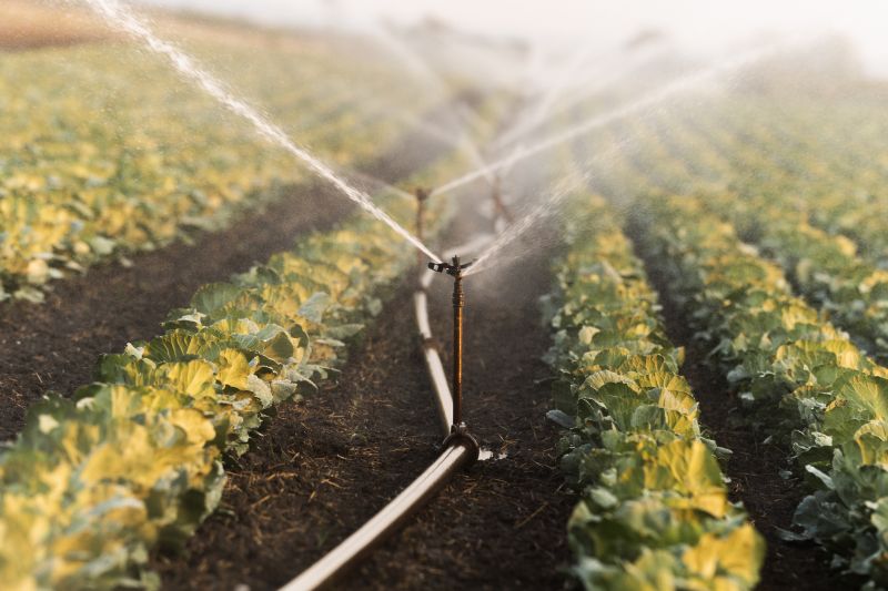 Irrigation System Installation