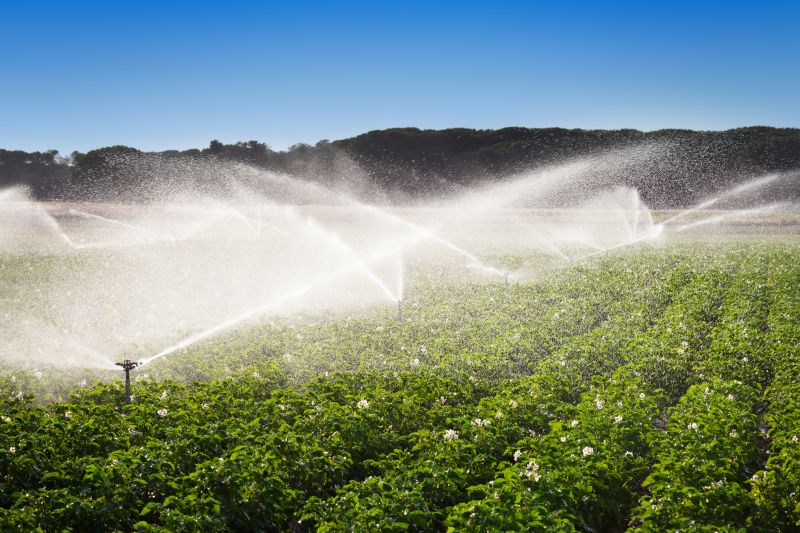 Irrigation System Installation Costs — Cost of Irrigation System Installation