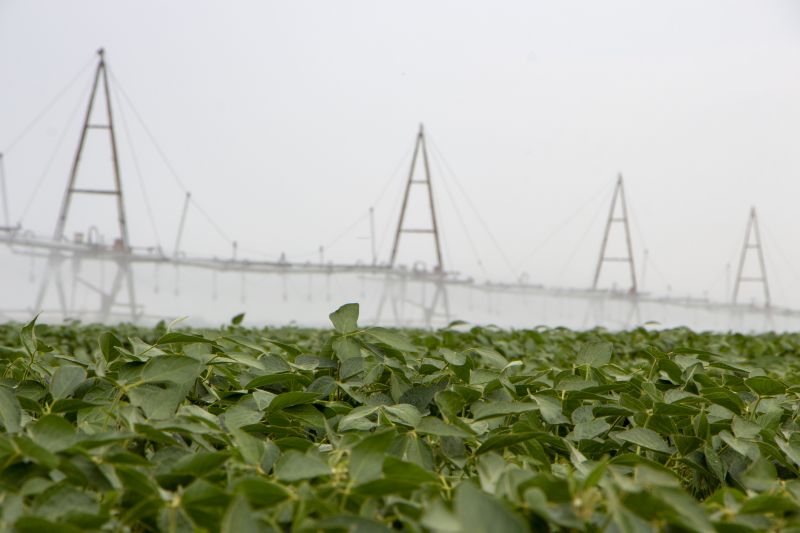 Irrigation System Components