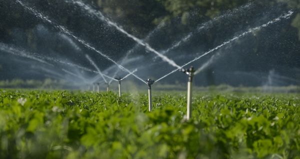 Irrigation System Design